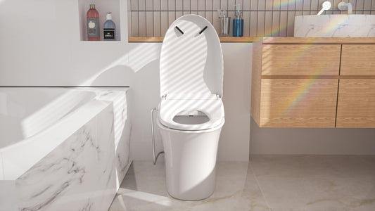 Personal Warm Care Assistant: Enjoy the Comfort of a Smart Bidet Toilet Seat.