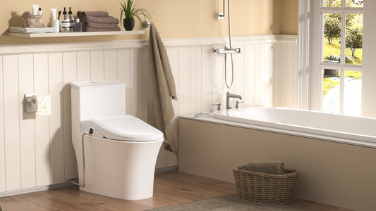 What is bidet toilet seat?